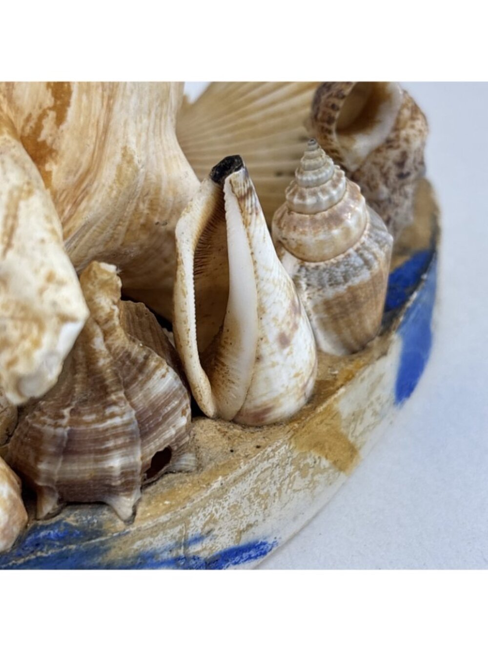 Vintage Seashell Sculpture Lamp Unique Home Decor Beach House (light Not Incl) - Picture 3 of 7